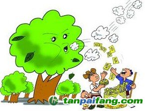 深度解析國(guó)有林場(chǎng)開(kāi)發(fā)森林經(jīng)營(yíng)碳匯前景分析及有哪些相關(guān)問(wèn)題的對(duì)策匯總