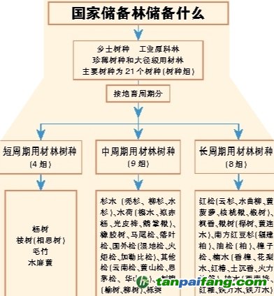 國(guó)家儲(chǔ)備林，儲(chǔ)備我們的未來