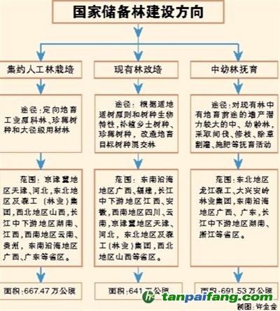 國(guó)家儲(chǔ)備林，儲(chǔ)備我們的未來