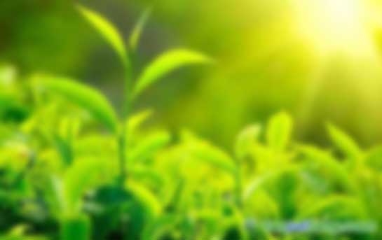 環(huán)境、社會及管治(ESG)培訓(xùn)課程招生簡章官網(wǎng)最新信息發(fā)布