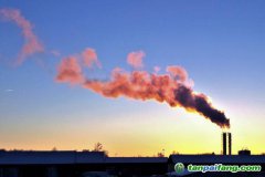 人社部碳交易師和碳排放管理師哪個(gè)好？證書有用嗎？再哪里報(bào)考的官方報(bào)名入口來了