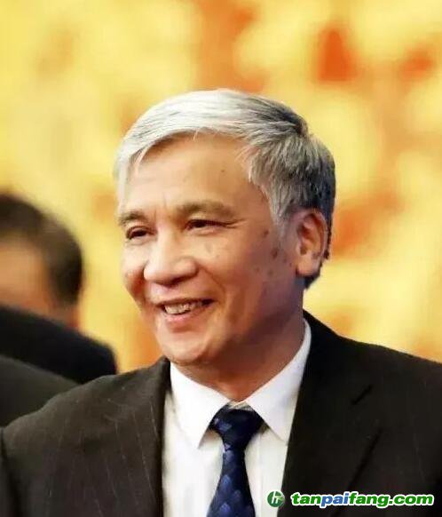全國人大常委會副委員長丁仲禮：中國碳中和，可這樣“四步走”！