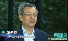 張希良：可適當(dāng)引入有償碳排放配額、碳稅機(jī)制