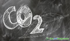 2023年碳排放權(quán)交易·碳資產(chǎn)管理、核查核算培訓(xùn)課程考試最新時(shí)間安排——官網(wǎng)正式發(fā)布