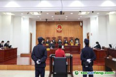 碳匯修復，解鎖生態(tài)司法綠色基因