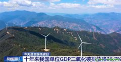我國碳達峰、碳中和政策和行動保障體系已基本形成