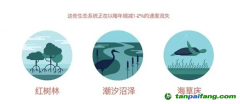 183元/噸！碳匯爆發(fā)，CCER市場價格的風向標？