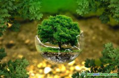控排企業(yè)碳資產(chǎn)管理代運(yùn)營(yíng)：配額籌劃、合規(guī)化改造等數(shù)據(jù)優(yōu)化、碳交易金融化思維