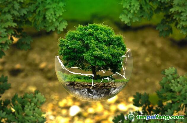 控排企業(yè)碳資產(chǎn)管理代運營：配額籌劃、合規(guī)化改造等數(shù)據(jù)優(yōu)化、碳交易金融化思維
