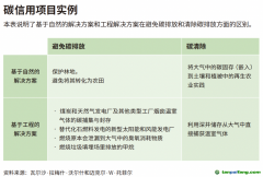 企業(yè)領導者為什么必須了解碳信用額？