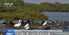自愿碳是什么碳？促進(jìn)溫室氣體減排 這個(gè)市場(chǎng)很重要